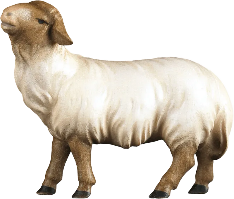Sheep Looking Forward Brown Head – nativity figure by ULPE Wood Art