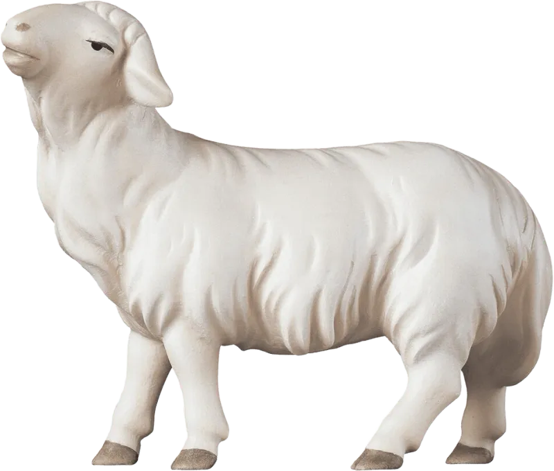 Sheep Looking Head Forward – nativity figure by ULPE Wood Art