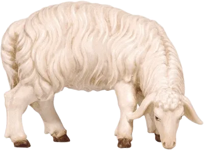 Hand-carved wooden sheep grazing looking right, white with brown hooves