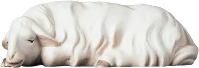 Sleeping Sheep