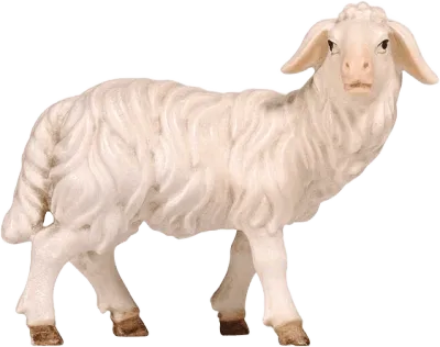Hand-carved wooden sheep figure standing looking right, painted white with brown hooves