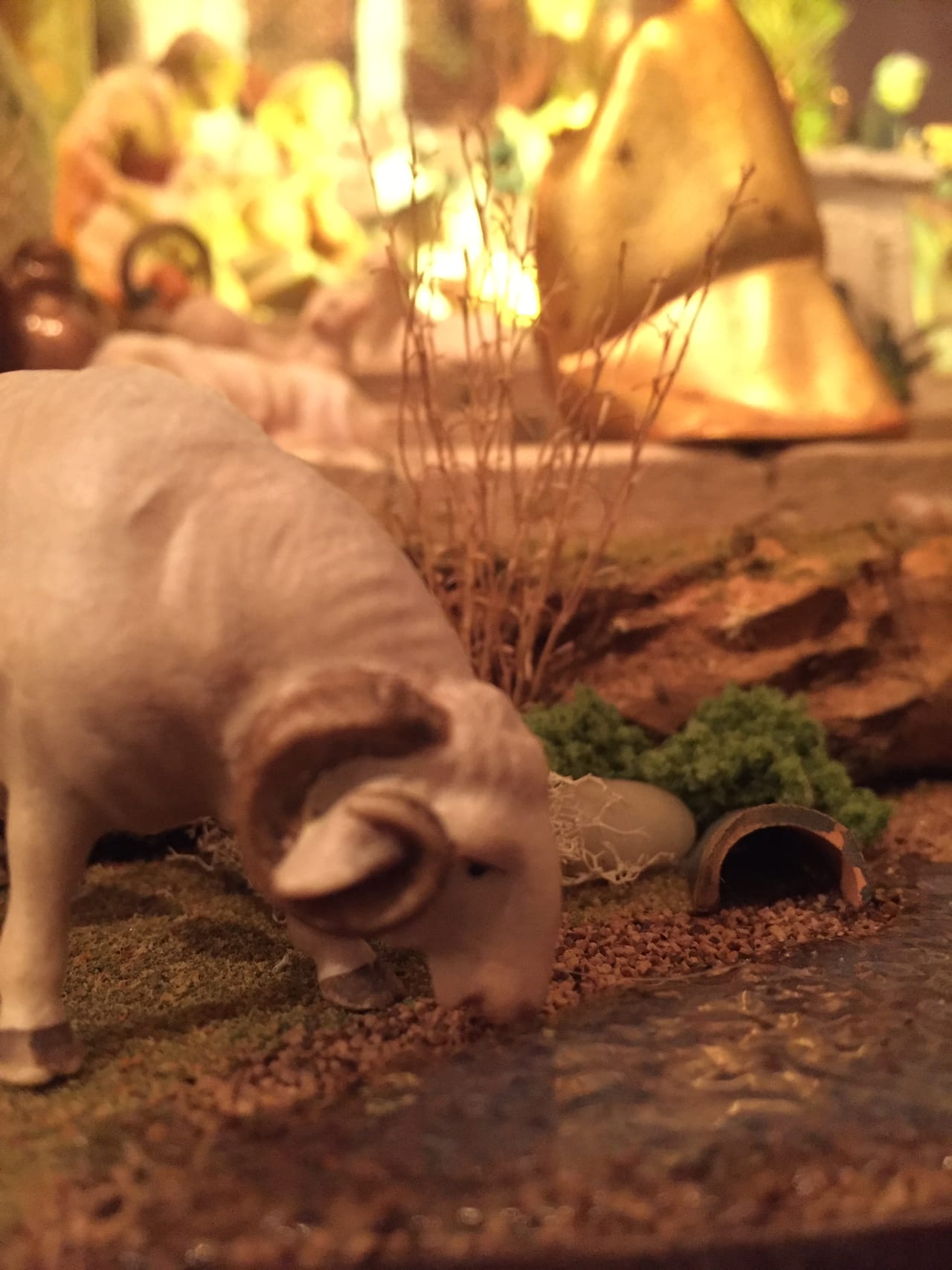 The Roman Forum Nativity, photograph 7