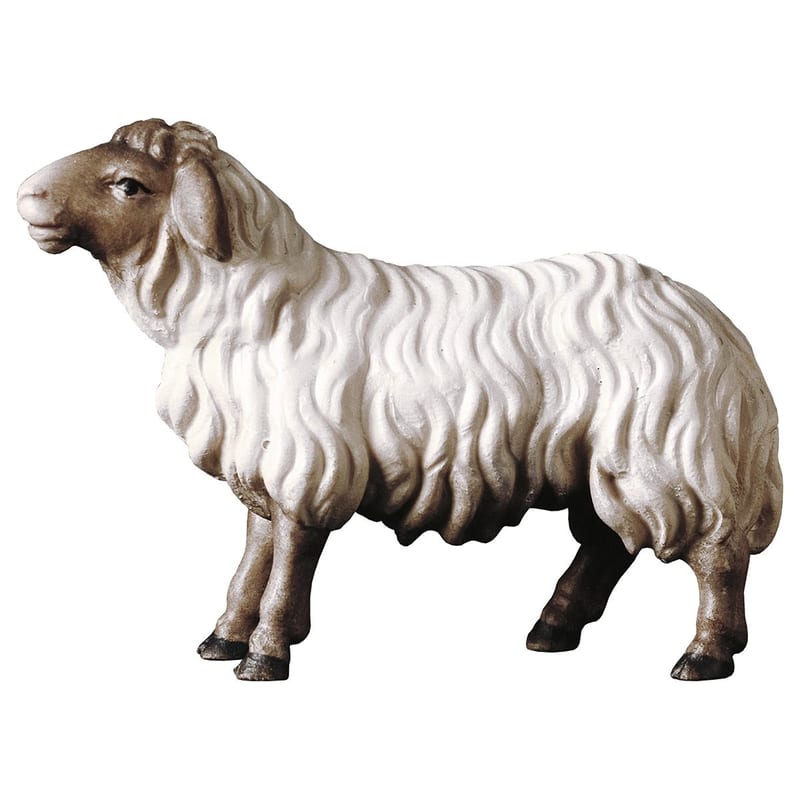 Sheep Looking Forward Head Dark – nativity figure by ULPE Wood Art