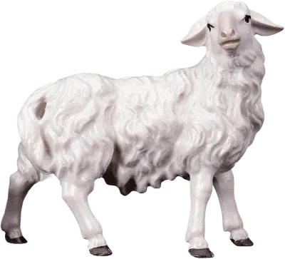 Sheep Looking Rightward – nativity figure by ULPE Wood Art