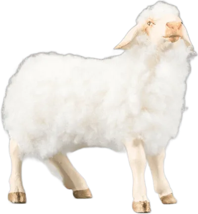 Sheep with wool white, head turned left – nativity figure by Original Heide