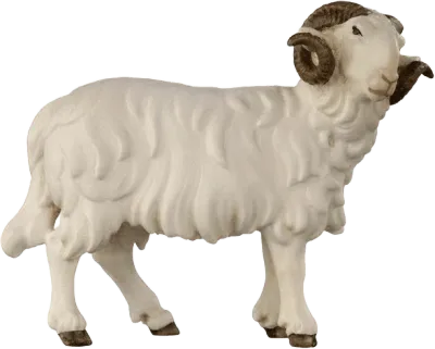 Hand-carved wooden ram figure looking right with white body and brown curved horns