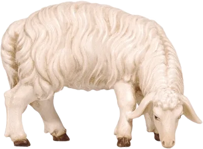 Hand-carved wooden sheep grazing looking right, white with brown hooves