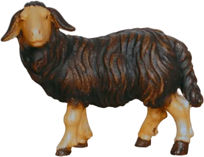 Hand-carved wooden dark sheep figure standing looking left with textured dark wool and light face and legs
