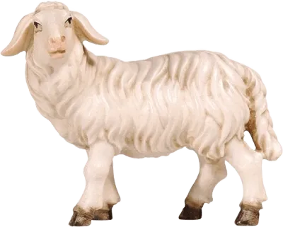 Hand-carved wooden sheep standing looking left with detailed wool texture and painted hooves