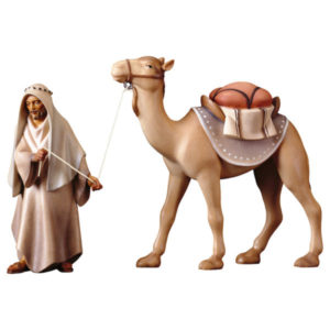 Standing Camel and Driver