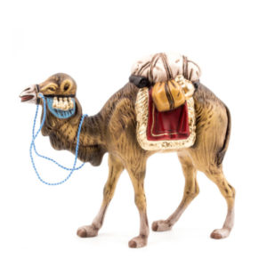 Camel With Luggage